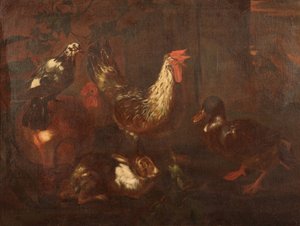 Poultry and Rabbits